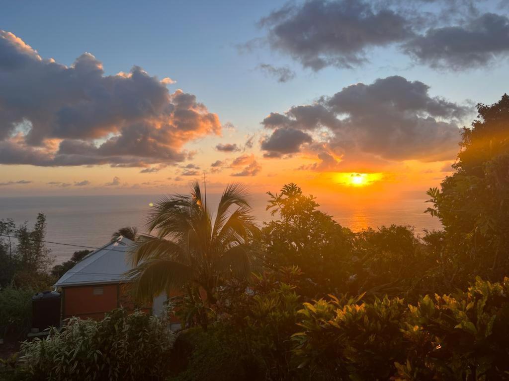 "Sunrise Inn" Nature Island Dominica Penville Buitenkant foto