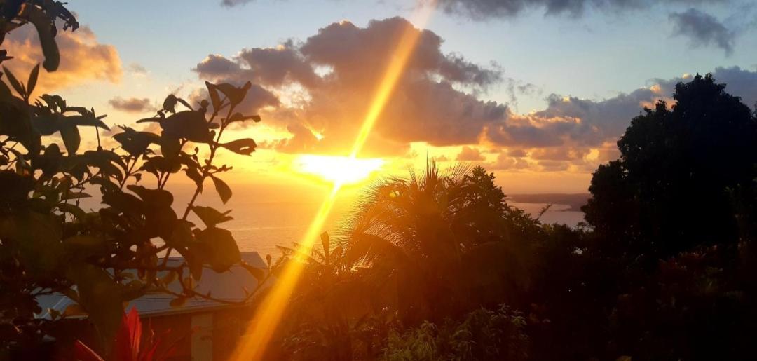 "Sunrise Inn" Nature Island Dominica Penville Buitenkant foto